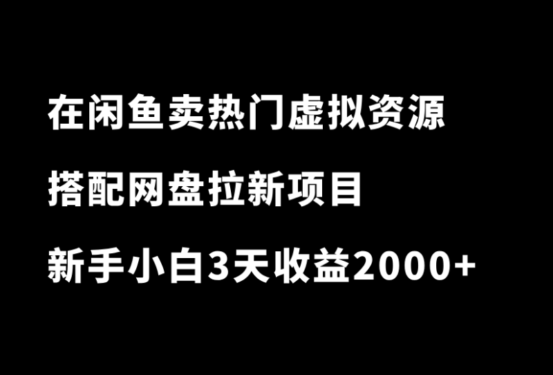 在闲鱼售卖热门虚拟资源，搭配网盘拉新项目，3天收益2000+-小懒资源
