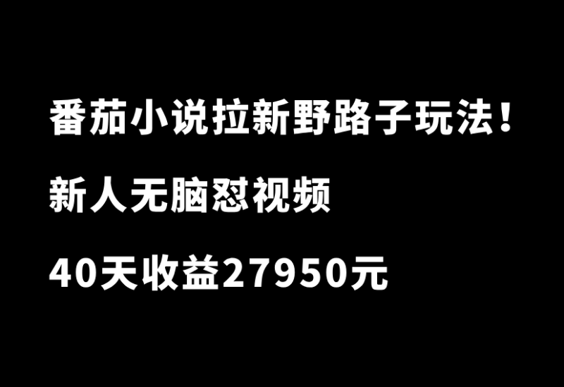 番茄小说拉新野路子玩法！无脑怼视频，每单10元，40天收益27950-小懒资源